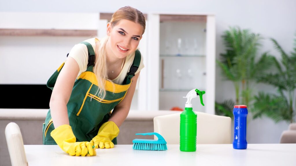 professional cleaner