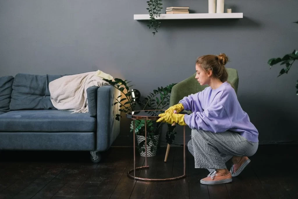 DIY-cleaning-in-the-apartment-is-not-enough