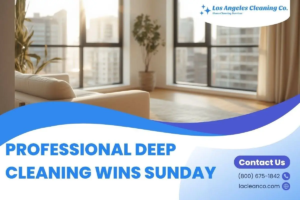 Promotional graphic for Los Angeles Cleaning Co. featuring a bright, spotless modern living room with large windows overlooking city buildings. The text reads: "PROFESSIONAL DEEP CLEANING WINS SUNDAY." Includes a "Contact Us" section with the phone number (800) 675-1842 and website lacleanco.com