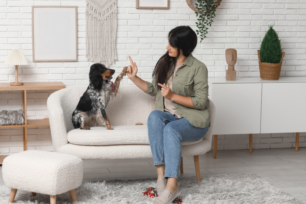 Green cleaning protects pets