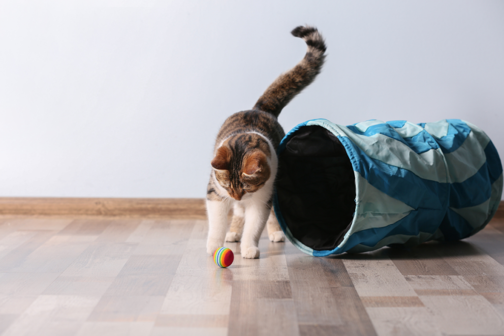 Why green cleaning protects pets at home